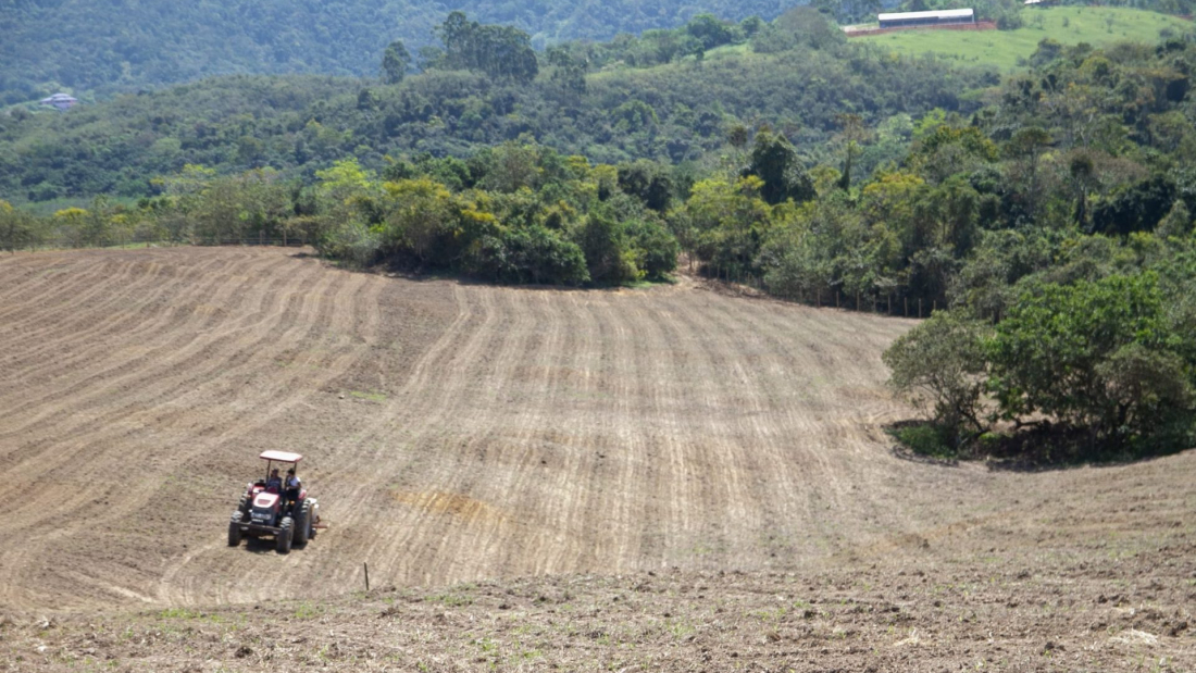 fazenda foto Leonardo Fonseca