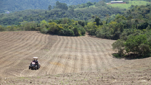 fazenda foto Leonardo Fonseca