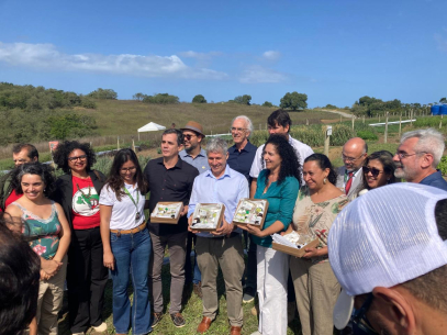 WhatsApp-Image-2024-07-31-at-20.09.36