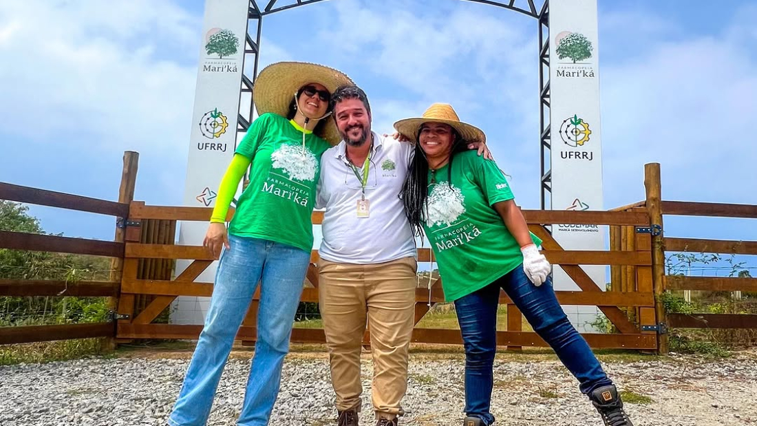 farmacopeia - luisa 5