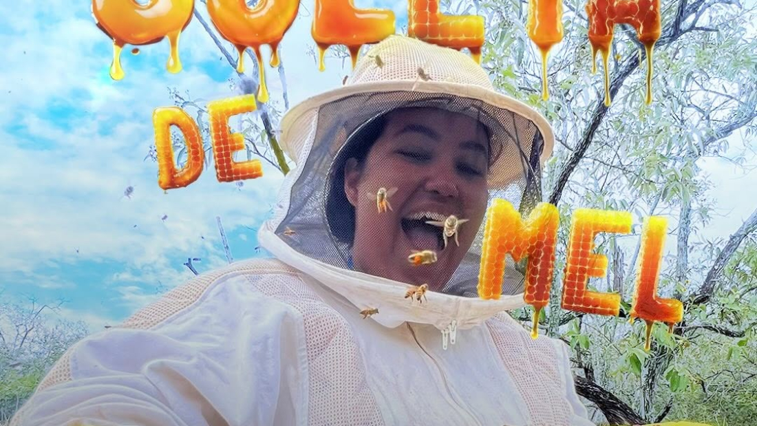 farmacopeia- luisa 6